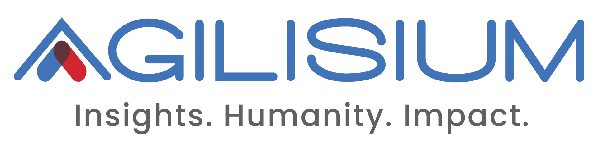 Agilisium — Insights. Humanity. Impact.